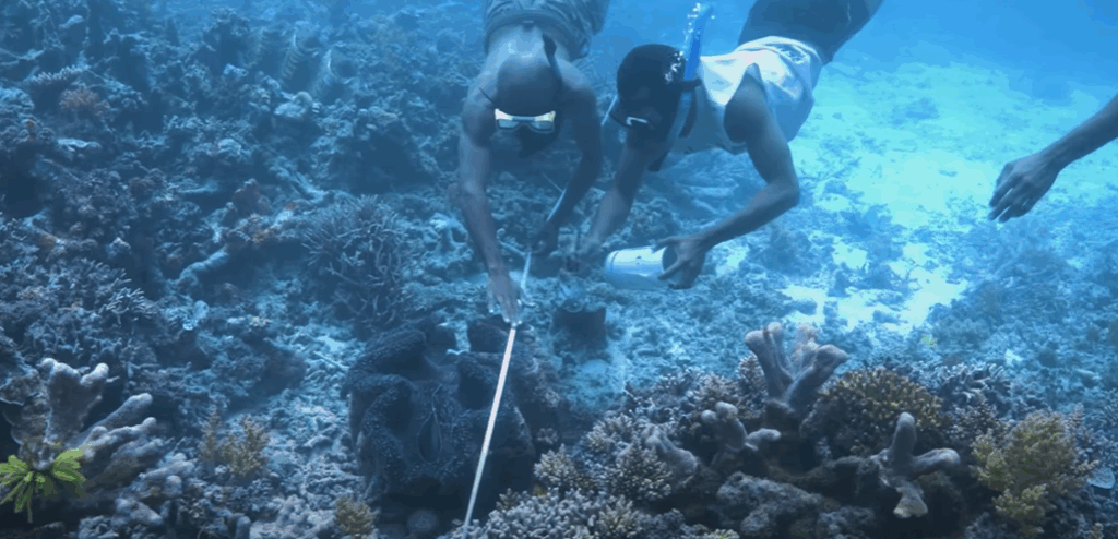 Niquole Esters scuba diving