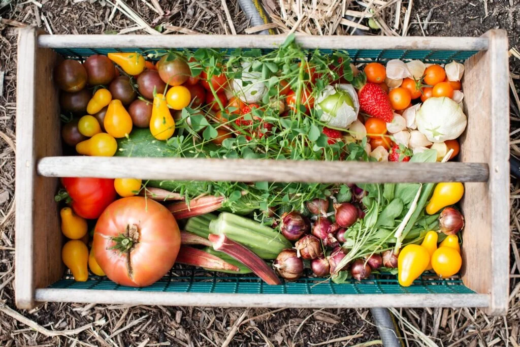 a basket of fresh fruit and vegetables