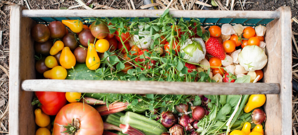 a basket of fresh fruit and vegetables
