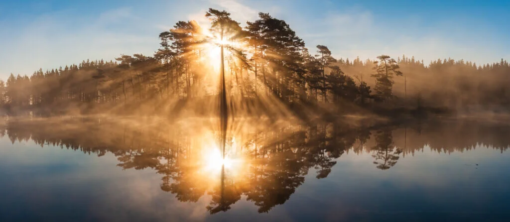 Stunning sunrise through trees and reflected on still lake 2025/12/AdobeStock_347521672.jpeg 